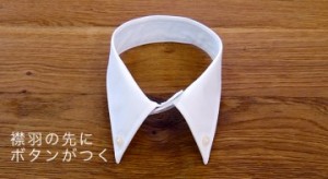 ENFOLD】COLLAR-PARTS つけ襟 23ss+semijoiasfelicita.com.br