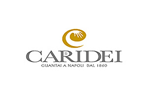 CARIDEI　ロゴ