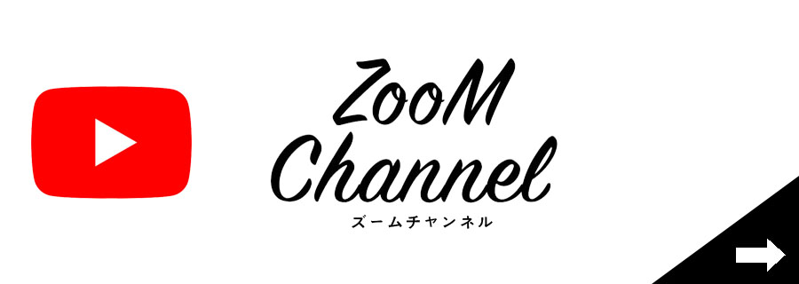 zoom channnel